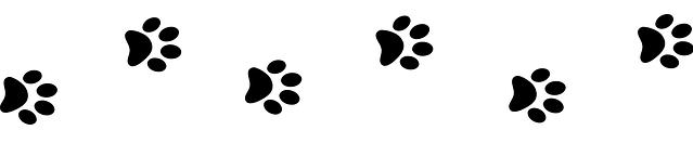 Line of dog paw prints used to separate blocks of text