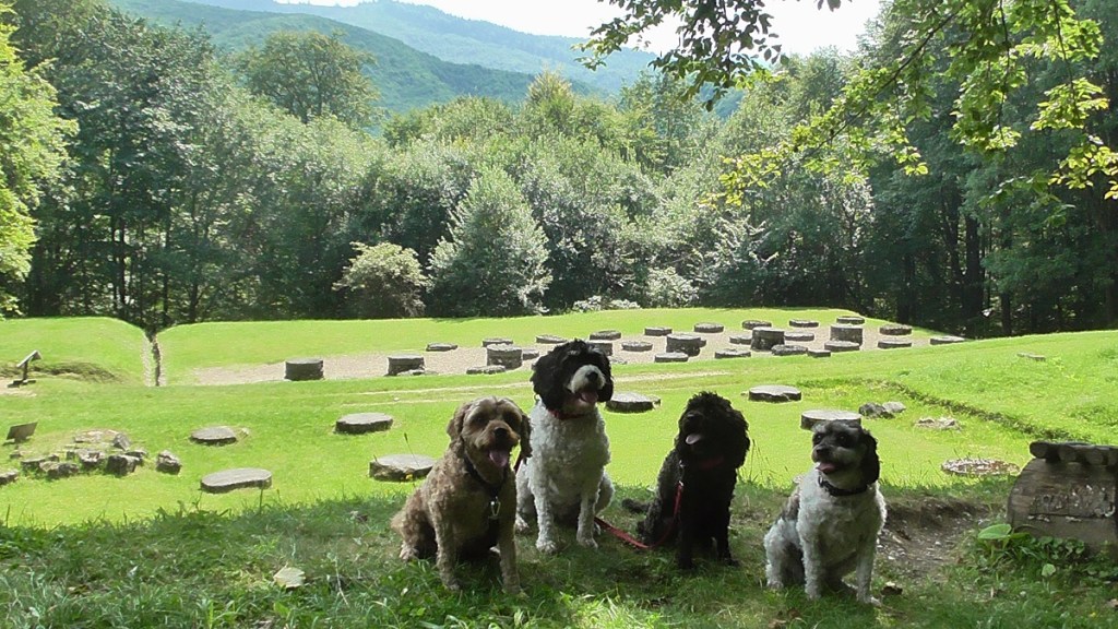 Jacqueline Lambert's dogs The Fab Four at Sarmizegetusa Regia, the Dacian capital in Romania