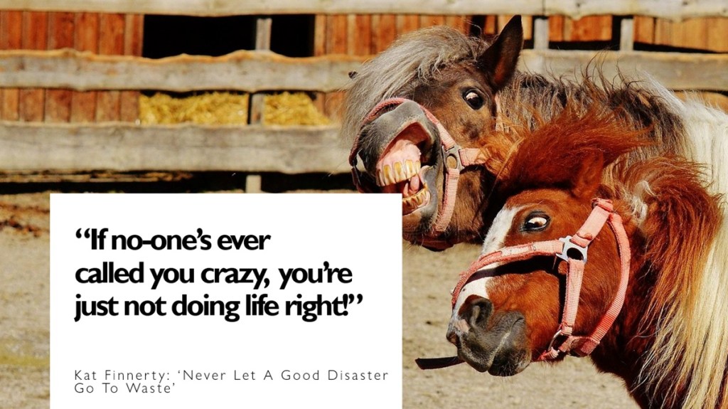 A picture of two brown ponies pulling funny faces with the caption "If no one has ever called you crazy, you're just not doing life right' which is a quote from Kat Finnerty's book 'Never Let A Good disaster go to waste'