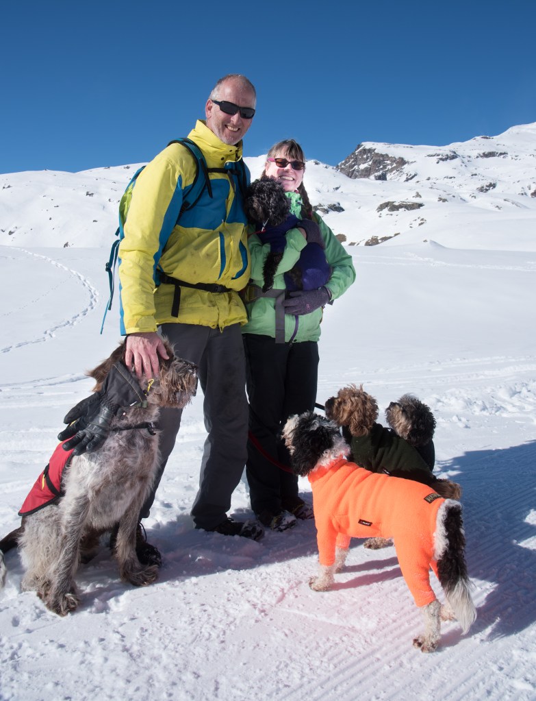 Author Jacqueline Lambert with husband Mark in the snow with five dogs. Their own Fab Four cavapoos, and Oscar, a huge Spinone